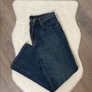 NWT Mens Gap Jeans